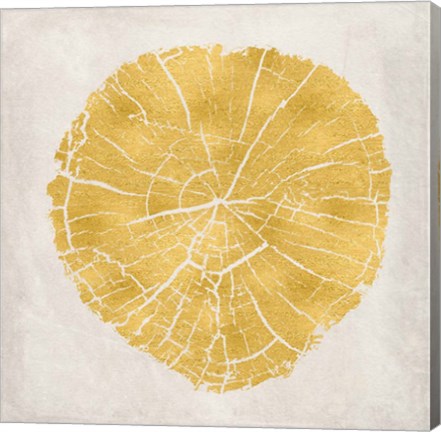 Framed Tree Stump Golden IV Print