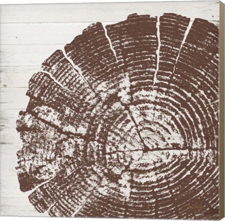 Framed Tree Rings III Print