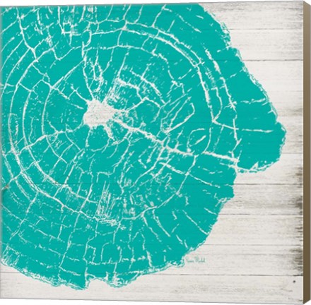 Framed Tree Rings IV Print