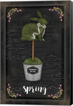 Framed Topiary Bunny Print