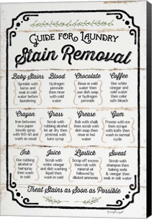 Framed Stain Removal Guide Print