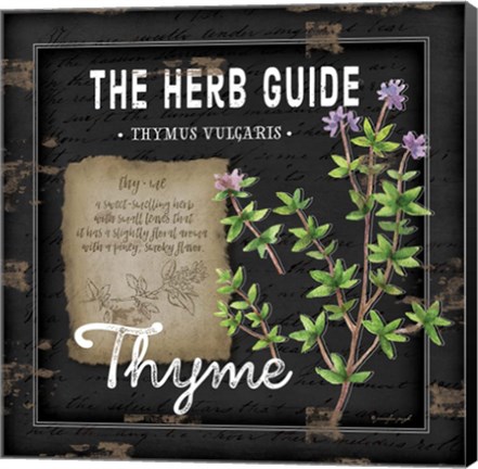 Framed Herb Guide Thyme Print