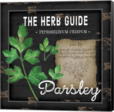 Framed Herb Guide Parsley Print