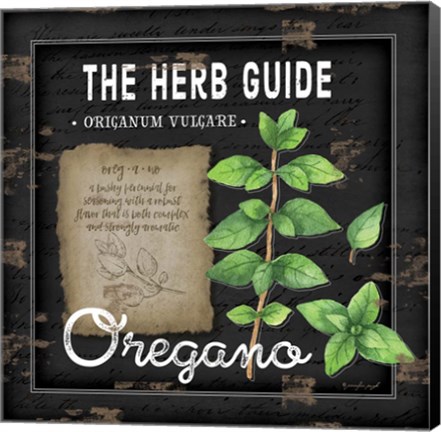 Framed Herb Guide Oregano Print