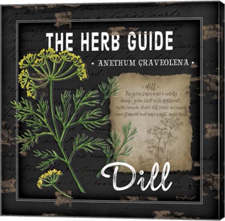 Framed Herb Guide Dill Print