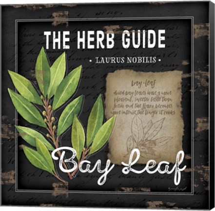 Framed Herb Guide Bay Leaf Print