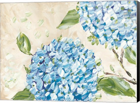 Framed Blue Hydrangeas II Print