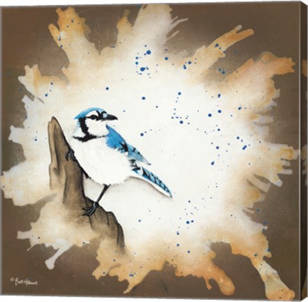 Framed Weathered Friends - Blue Jay Print