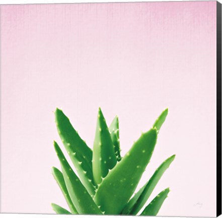 Framed Succulent Simplicity V on Pink Print