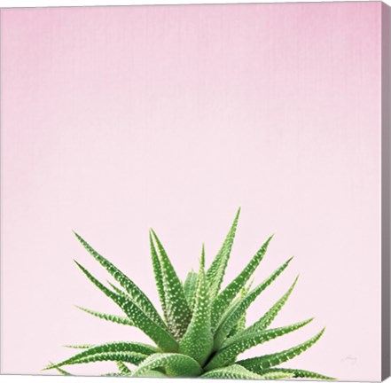 Framed Succulent Simplicity I on Pink Print