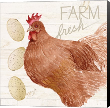 Framed Life on the Farm Chicken II Print