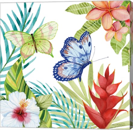 Framed Treasures of the Tropics VI Print