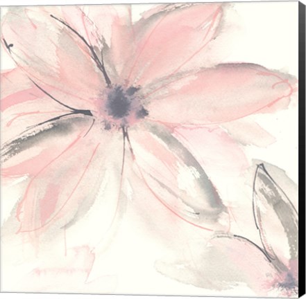 Framed Blush Clematis II Print