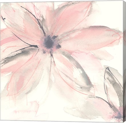 Framed Blush Clematis II Print