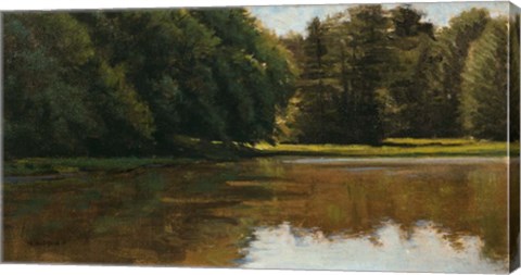 Framed Summer Light - White Pine Rd Pond Print