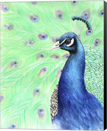 Framed Mr. Peacock Print