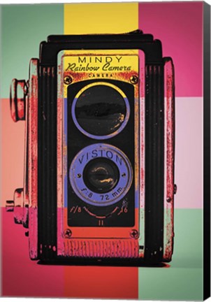 Framed Color Snap Print