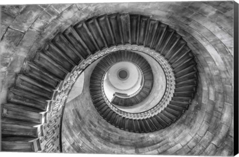 Framed Laberinto BW Print