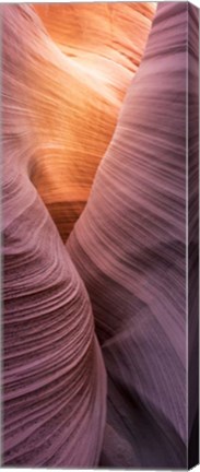 Framed Sinuoso-1 Print