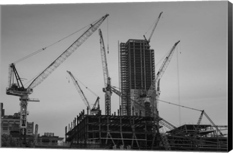 Framed New York Cranes Print
