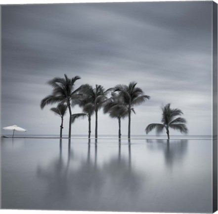 Framed 7 Palmeras Print