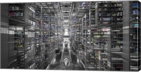 Framed La Ciudad De Los Libros Print