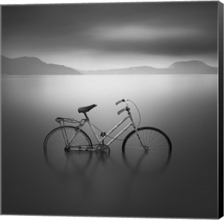 Framed Bicycle 1 Print