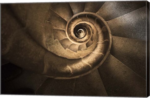 Framed Infinito Gaudi Print