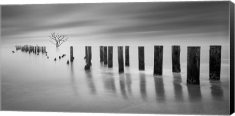 Framed Codigo Arbol F Print