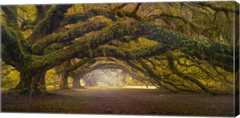 Framed Passage 1 Soft Color Print