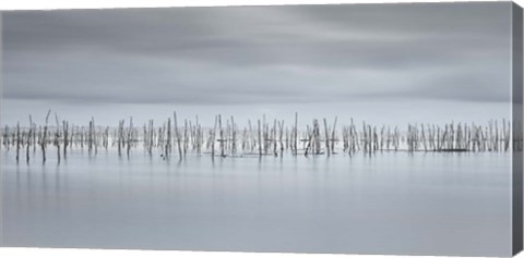 Framed Drawing Lines Print