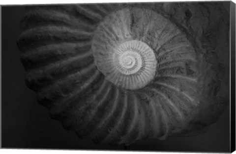 Framed Small infinity Print