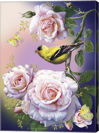 Framed Morning song Print