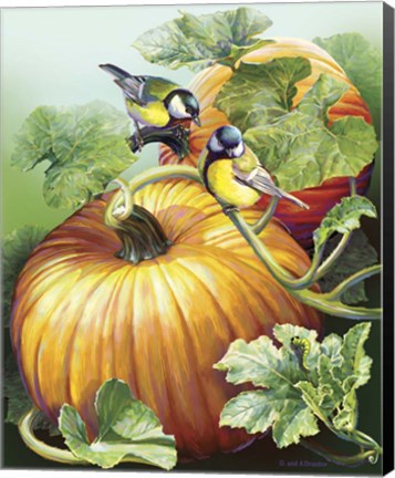 Framed Two Birdies On Pumpkin Print