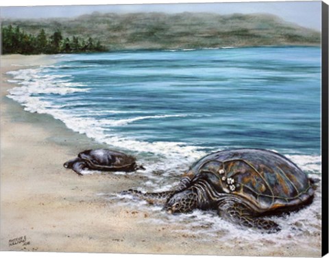 Framed 2 Turtles Print