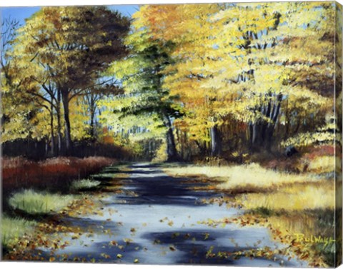 Framed Fall&#39;s Path Print