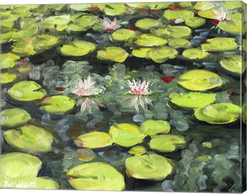 Framed Lilly Pond Print