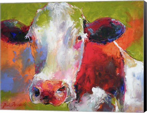 Framed Cow Print