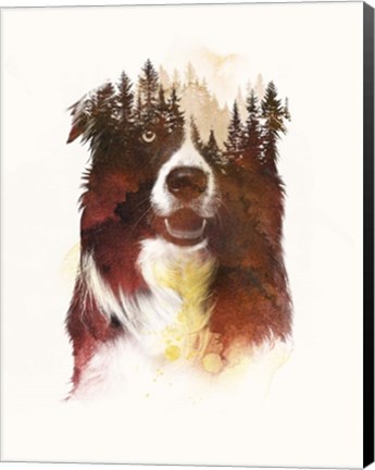 Framed One Night In The Forest Print