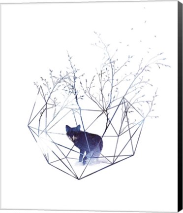 Framed Organic Prison Print