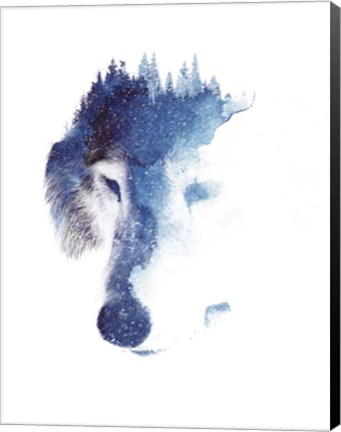 Framed Through Many Storms Print