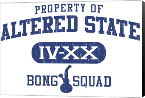 Framed Altered State Bong Print