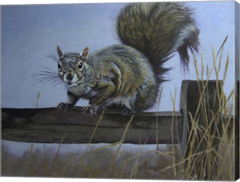 Framed Squirrel Print
