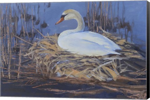 Framed Swan Nest Print
