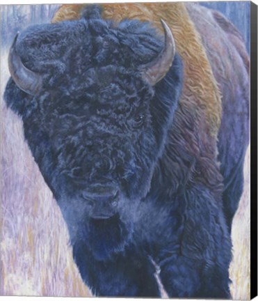 Framed Bull Print