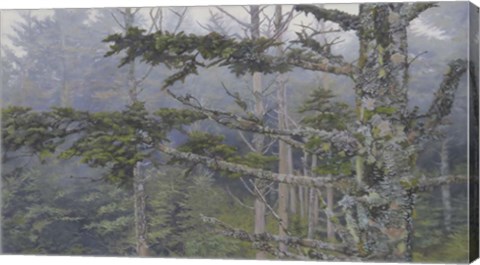 Framed Forest Trees Print