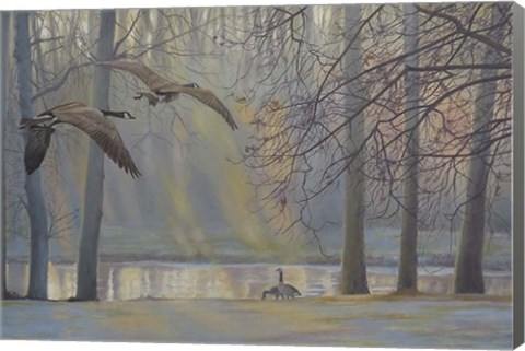 Framed Geese An Pond Print