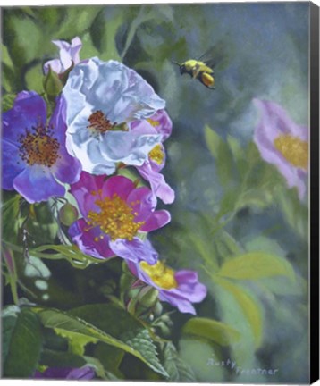 Framed Wild Roses Print