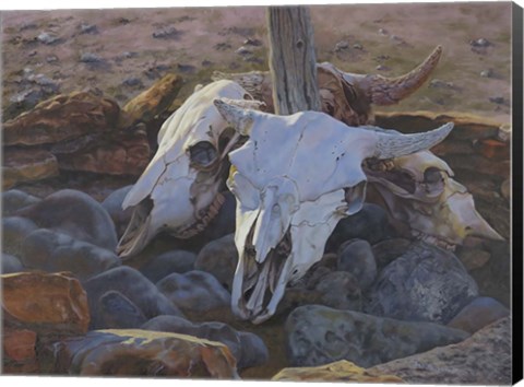 Framed Where The Buffalo Used To Roam Print