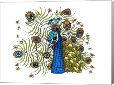 Framed Percival Peacock Print